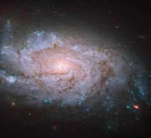 Hubble uzay teleskobundan çekilen görüntüde NGC 1084 galaksisi gözlemlenmekte